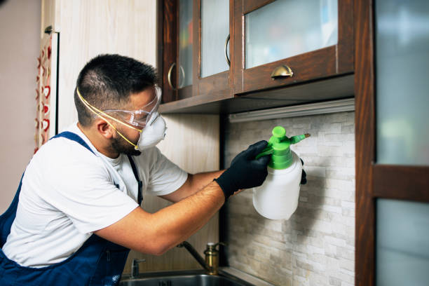 Best Rat Extermination Near Me  in Rossville, KS