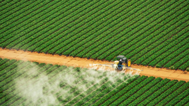 Pest Prevention Services in Rossville, KS