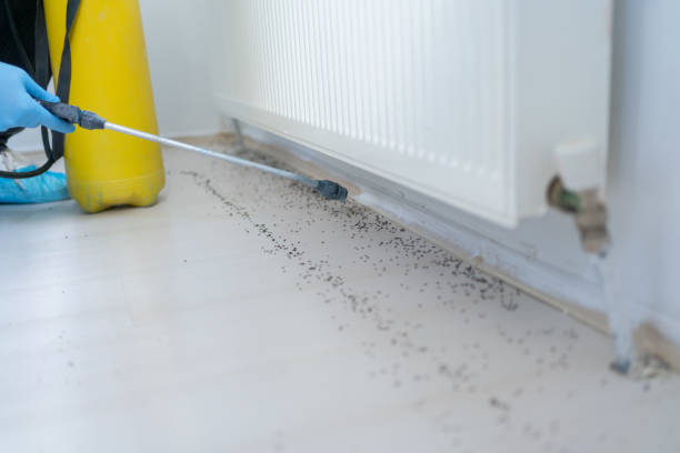Best Bed Bug Extermination  in Rossville, KS